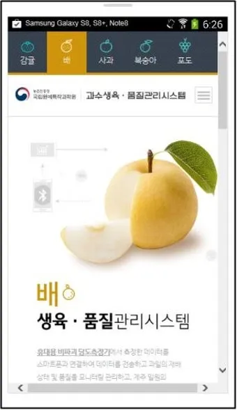 배 재배 유인 전정 수분 수정 봉지 재배_10