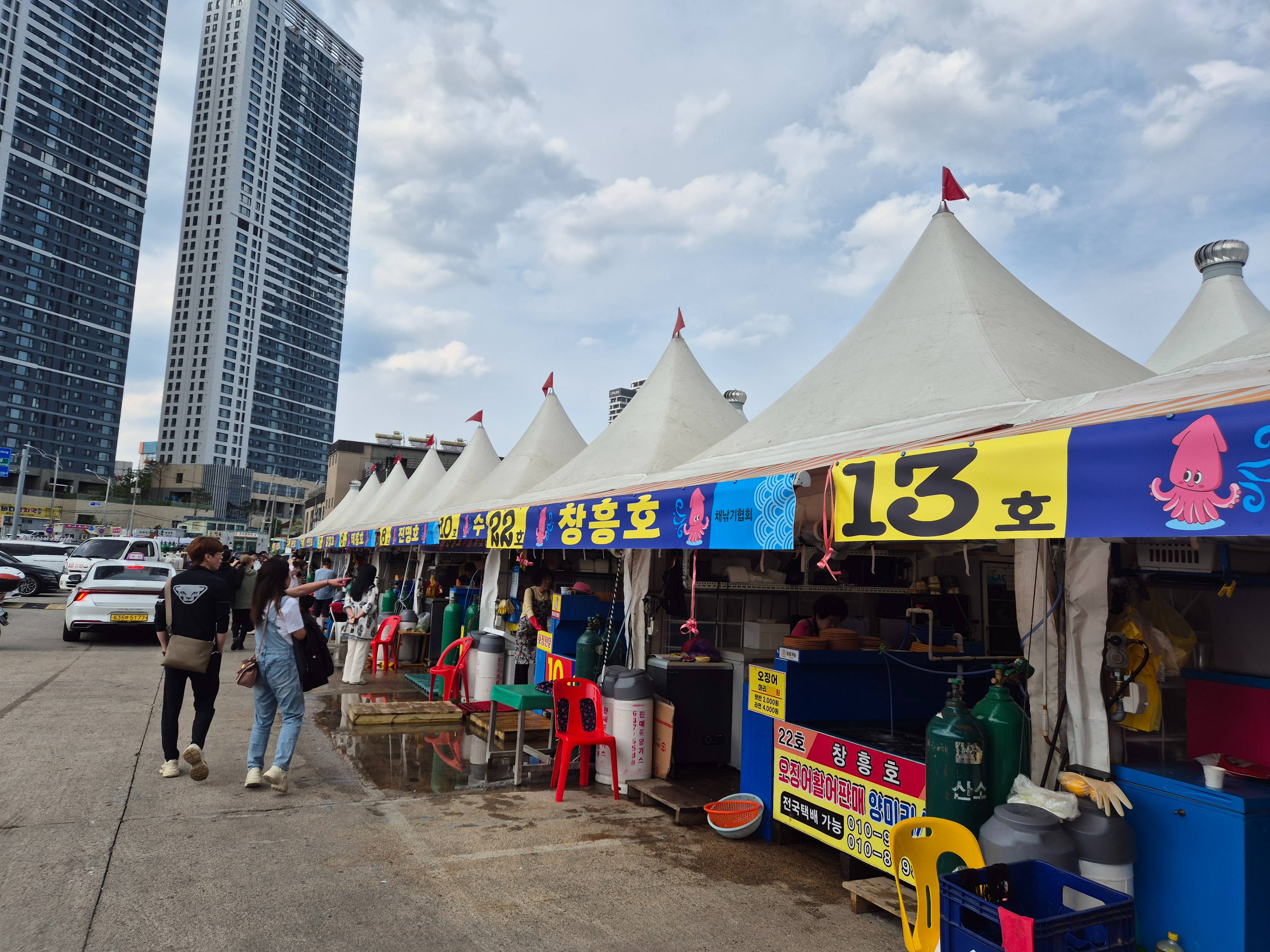 2025 5월 속초 오징어 난전 오픈