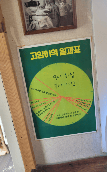 고양이역