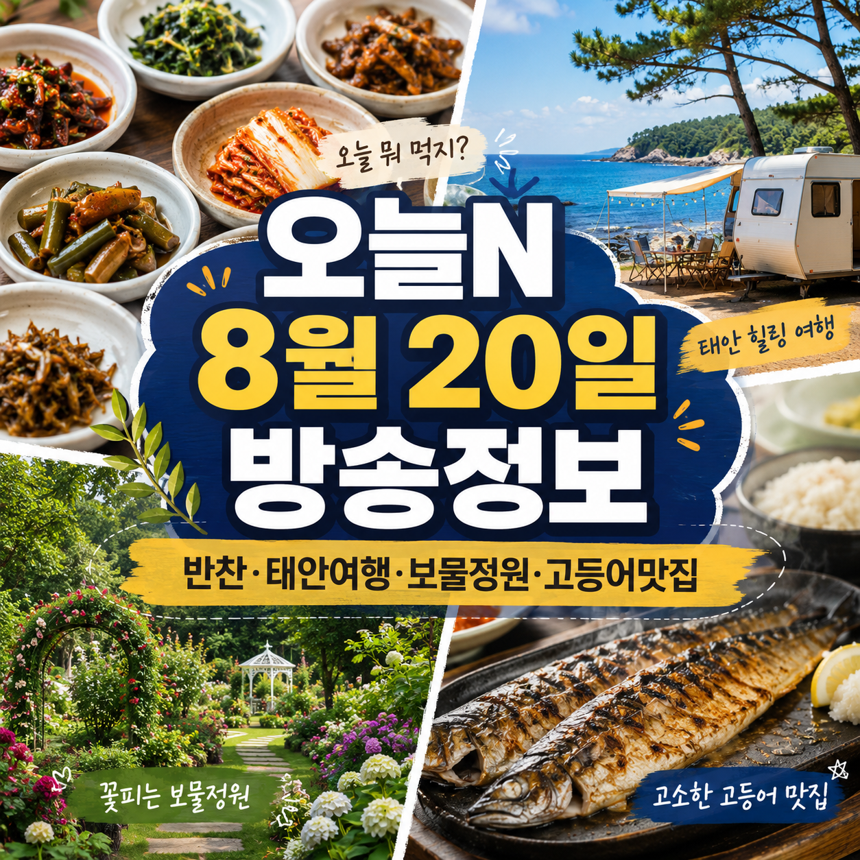 오늘N 8월 20일 방송정보