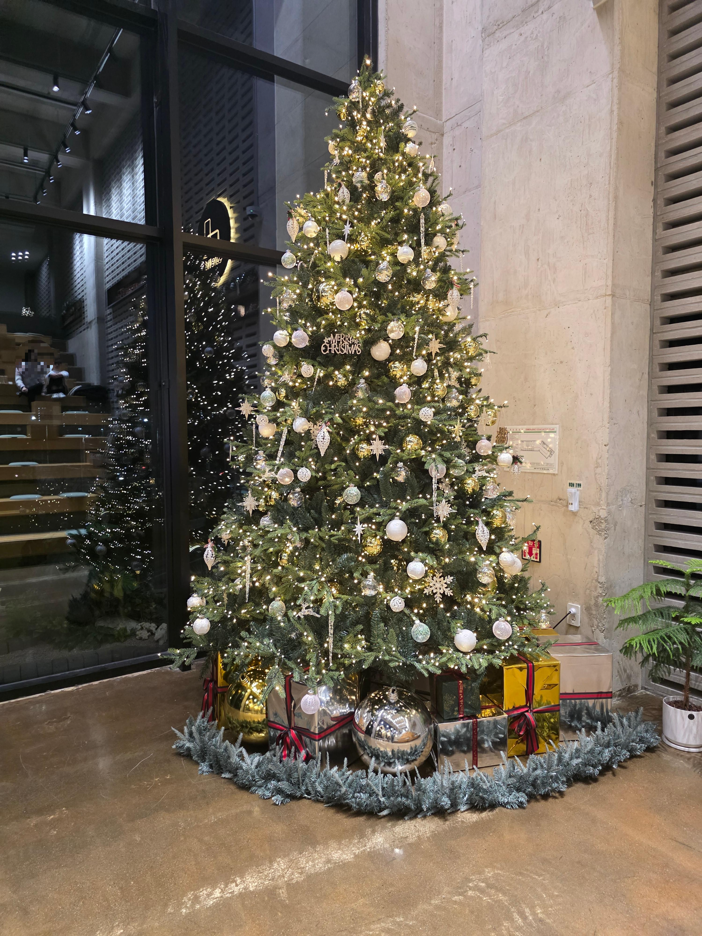 cafe n&d 카페 엔앤디 도안동 대형카페 빵 디저트 가격 주차 크리스마스 04