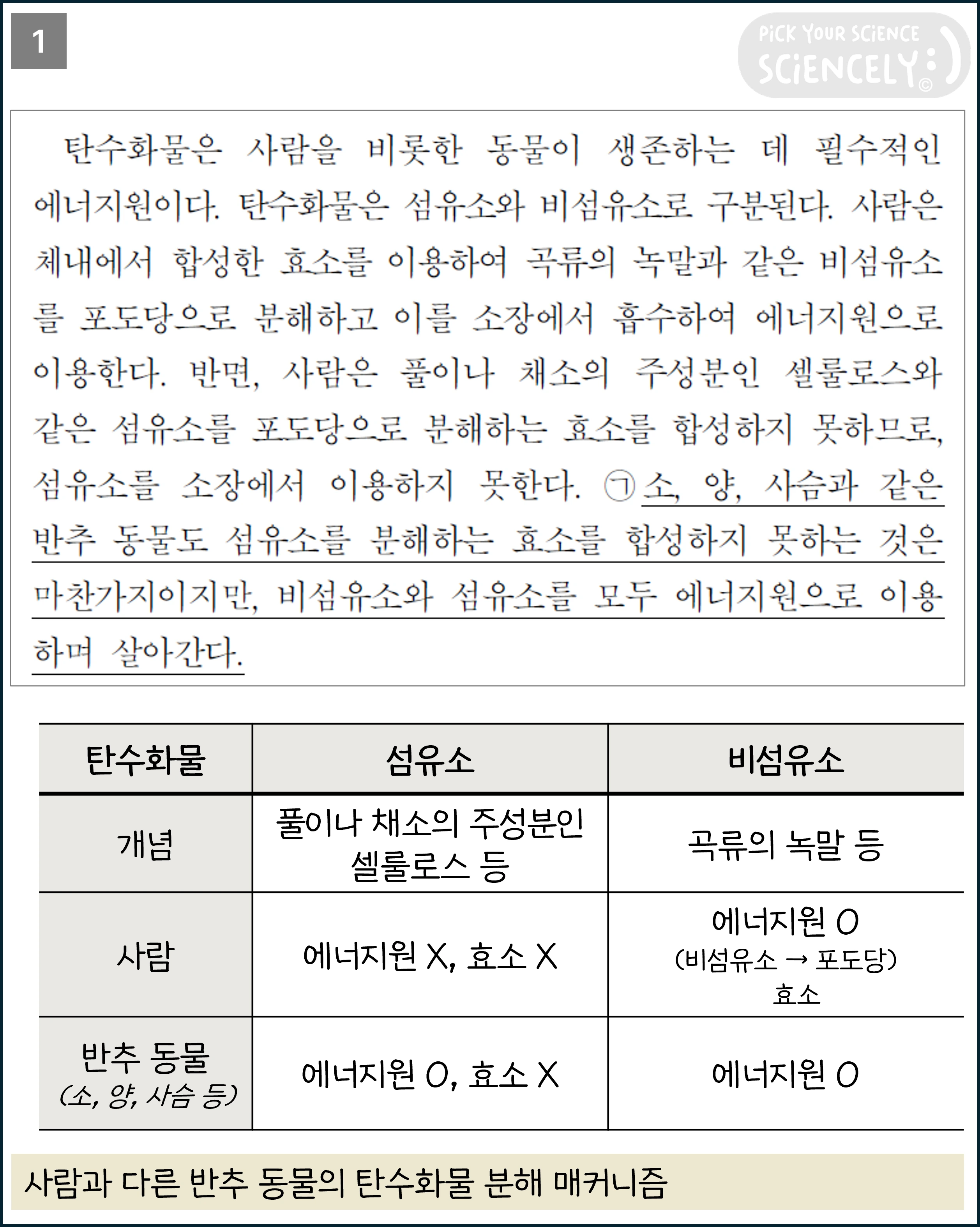 국어 독서 과학기술, 국어 비문학 과학기술, 17학년도 수능 Q33-36, 반추동물의 탄수화물 분해, 1문단, 탄수화물은 사람을 비롯한 동물이 생존하는 데 필수적인 에너지원이다.