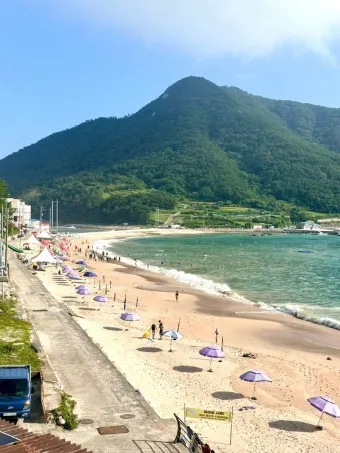 비진도 배시간표 예매 요금 배편 예약_21