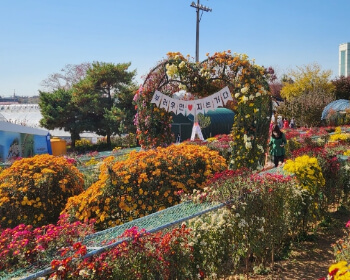 서산 국화축제_31