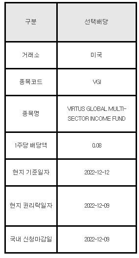 미국주식 선택배당 안내 VGI