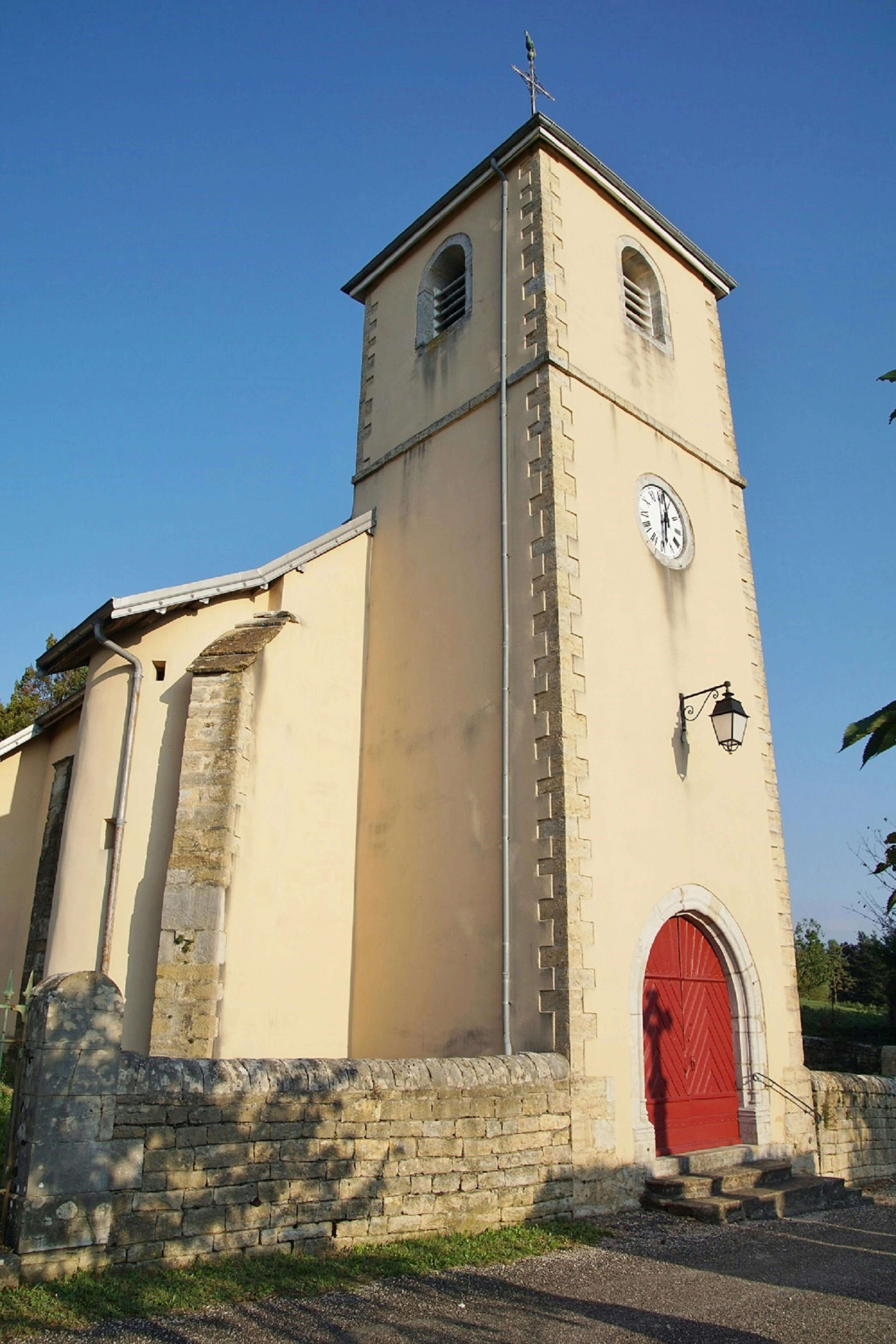 차기 교황 후보 ‘유흥식 라자로 추기경’의 생애와 영향력 한국 가톨릭의 역사적 순간