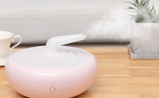 자취생 추천 전자레인지 소형가전 TOP5