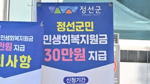 민생회복 소비쿠폰 지급