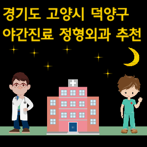 고양시 덕양구 야간진료 정형외과 추천