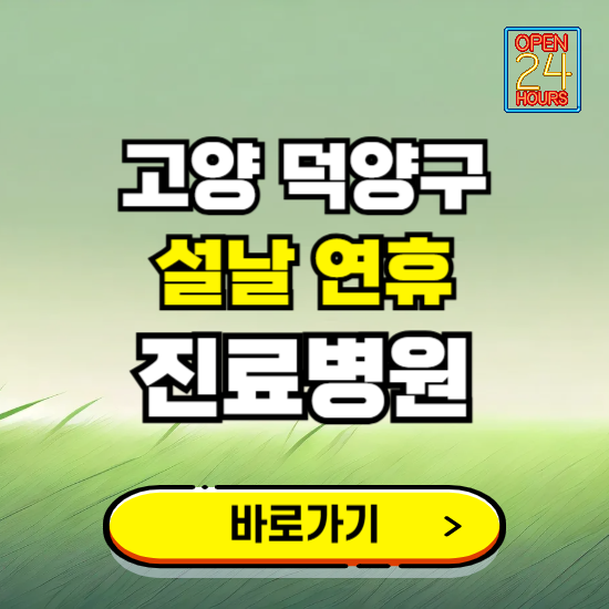 고양시 덕양구 설날 연휴 진료병원 찾기 ❘ 24시 응급 야간 심야 문여는 병원