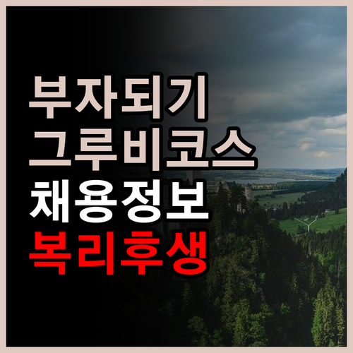 신입과 경력 모두 환영하는 그루비코스