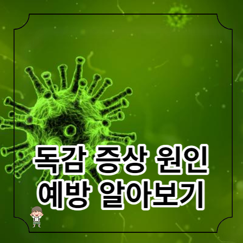 독감 증상: 인플루엔자 식별 및 관리