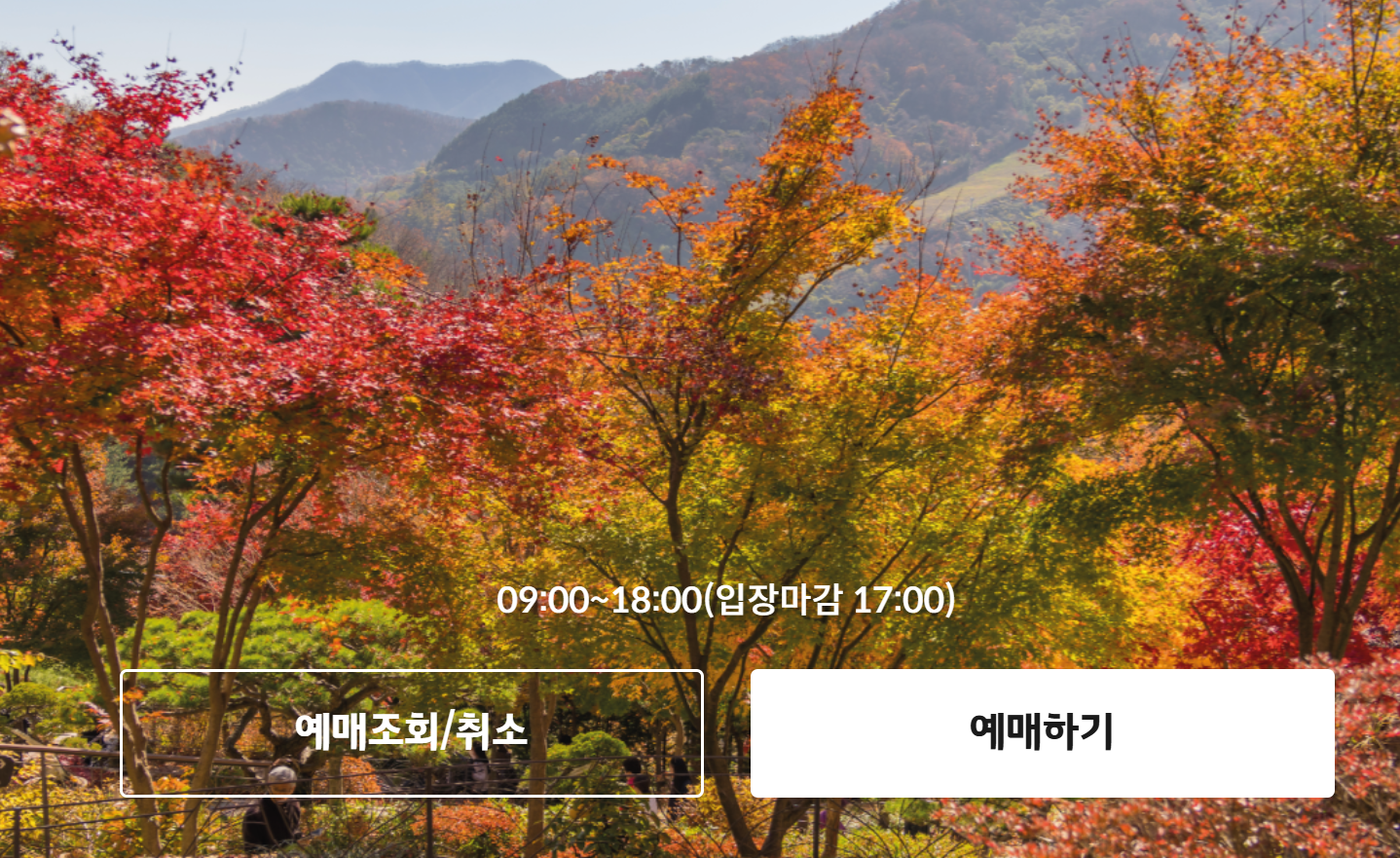 화담숲 예약 및 취소방법, 모노레일 코스추천, 단풍코스, 예매팁 및 이용꿀팁