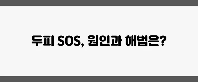 40대 이후 머리숱 감소 원인과 탈모 방지법 꼭 알아야겠죠?