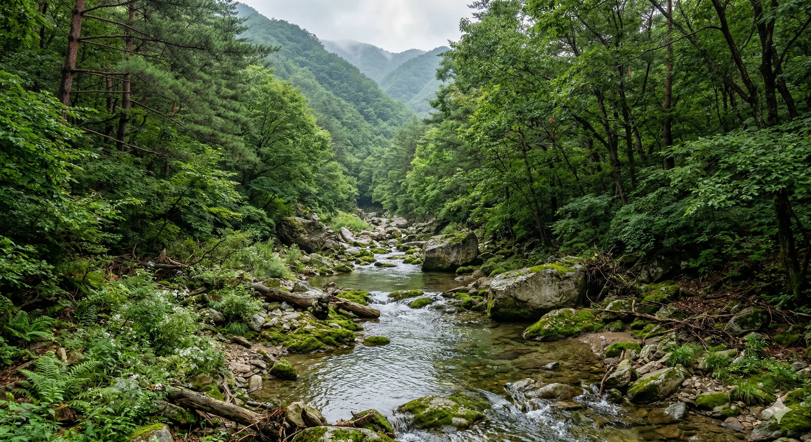 커플끼리 힐링할수있는 계곡이미지