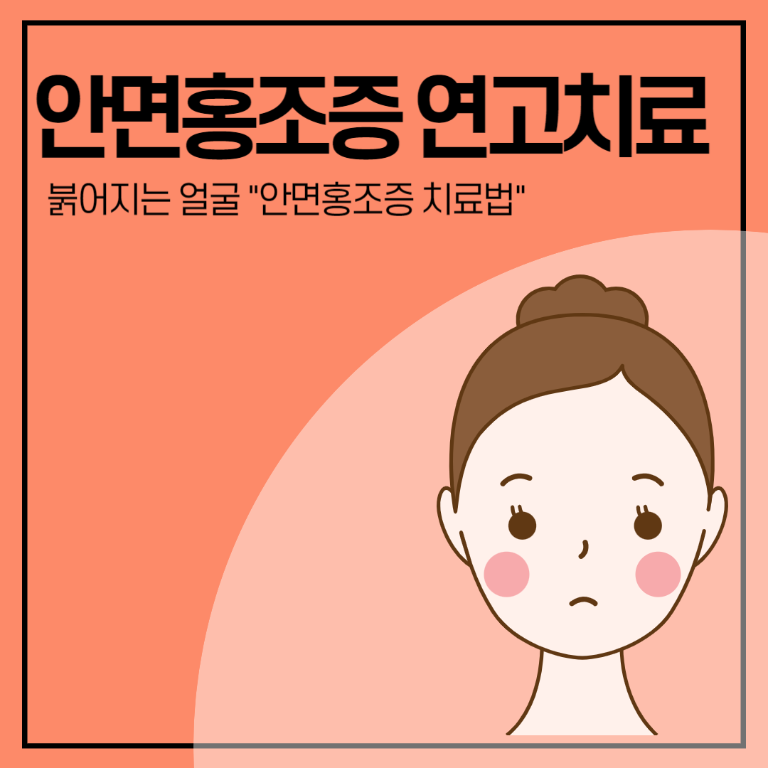 홍조 안내