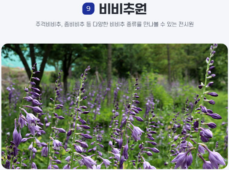 물맑음 수목원
