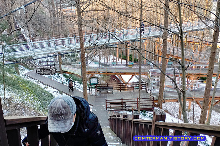장태산 자연휴양림 숲속어드벤처 길