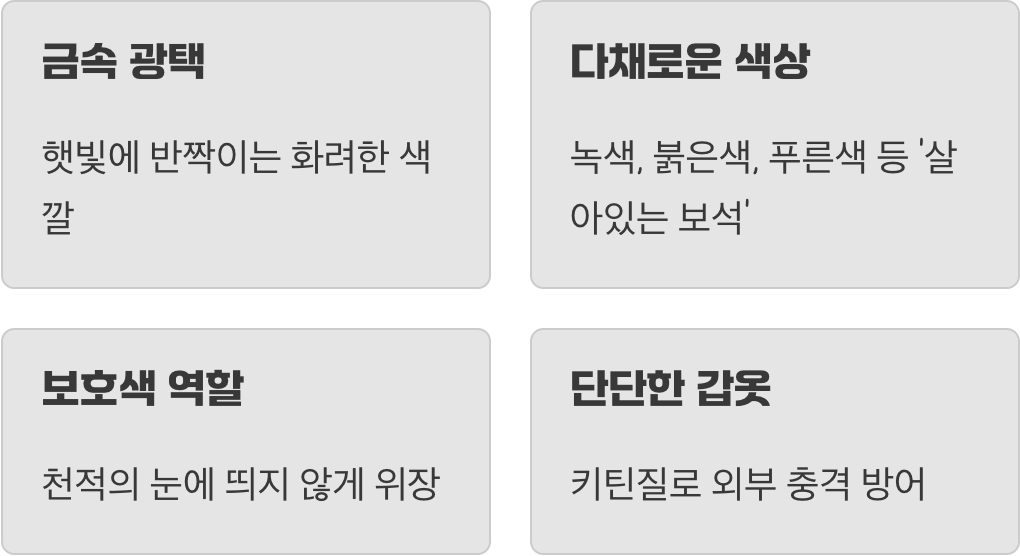 보석처럼 빛나는 아름다운 갑옷