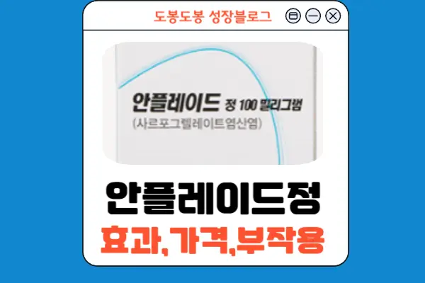 안플레이드정 안내 이미지