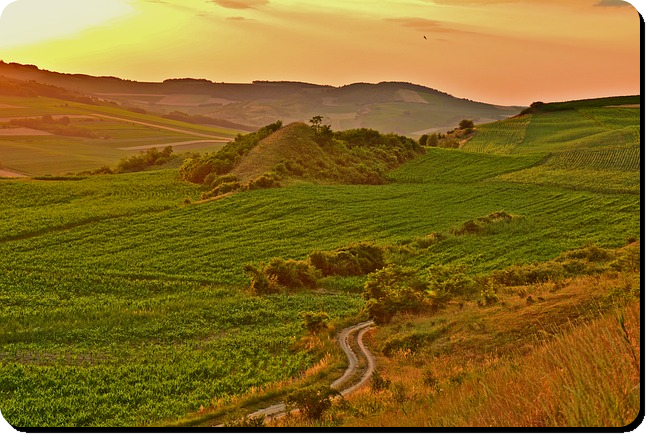 농지연금 수령액 계산