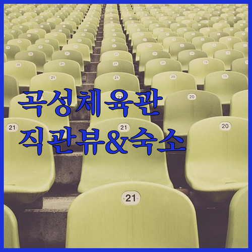 곡성문화체육관 구역별 직관 뷰 확인하..