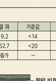 관절염 초기증상