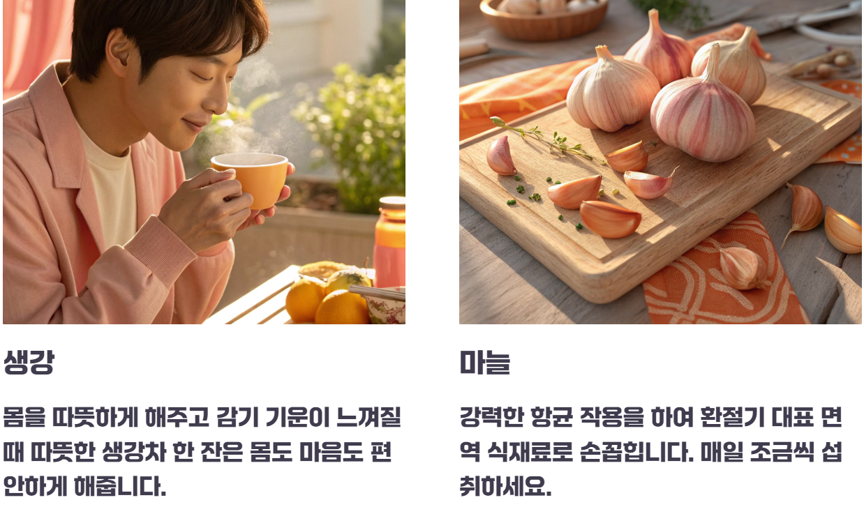 환절기 면역력에 좋은 음식