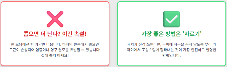 새치(흰머리) 나는 이유? 뽑으면 안 되는 이유와 올바른 관리법까지