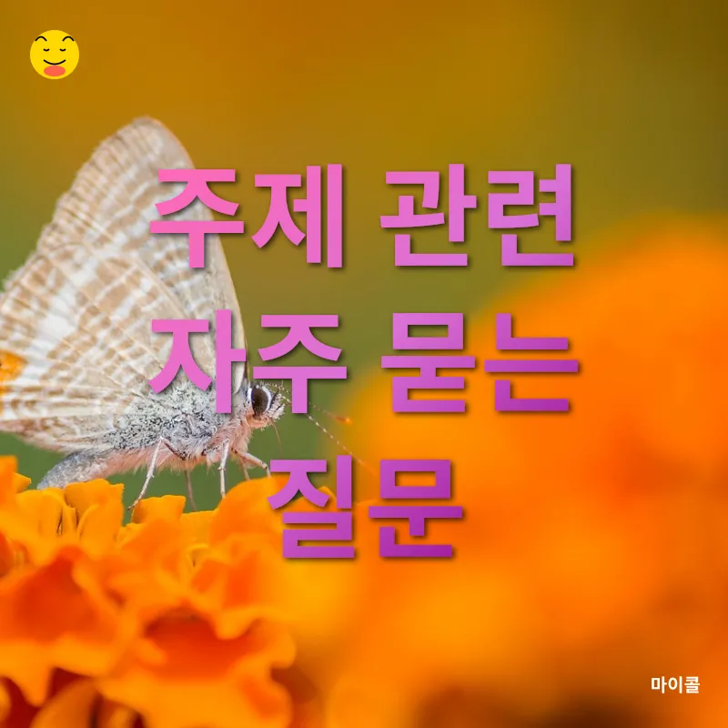 미니멀 라이프_4