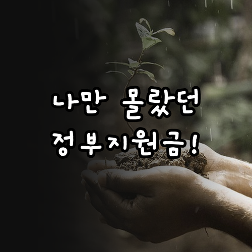 복지멤버십 맞춤형 급여 안내 내역 확..