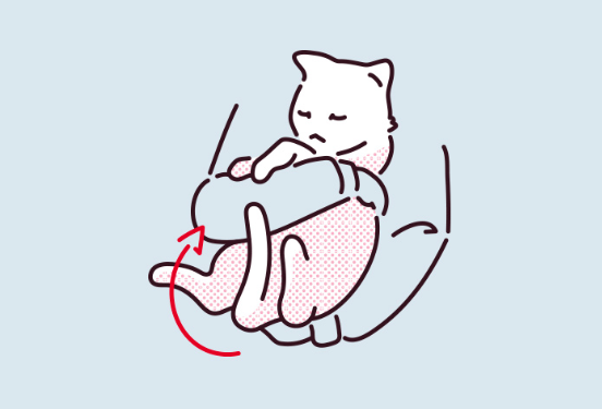 고양이가 안을 때마다 꼬리를 흔드는 일러스트