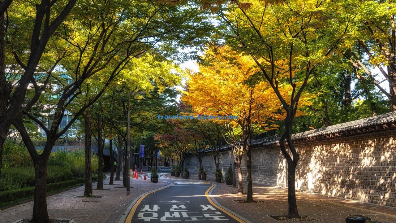 덕수궁 돌담길