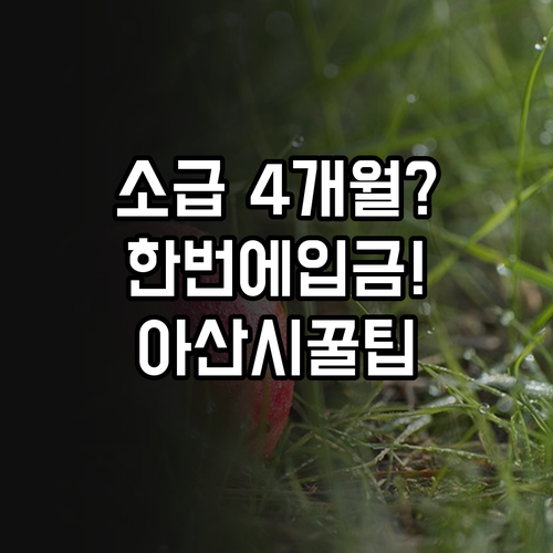 2026 아산시 청년월세지급일 9월 ..