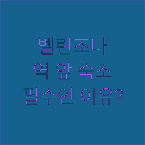 스위스 벨린조나 여행객들이 역 근처 ..