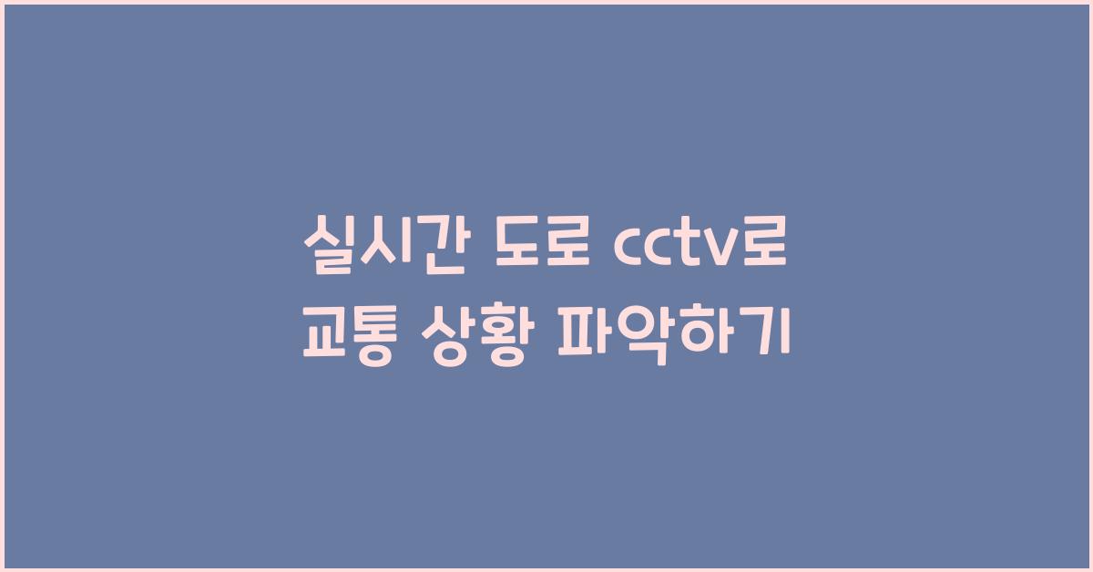 실시간 도로 cctv