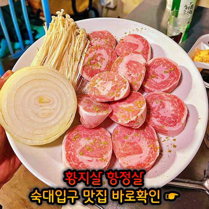 숙대입구 남영동 맛집 황지살, 오도독갈비, 항정살