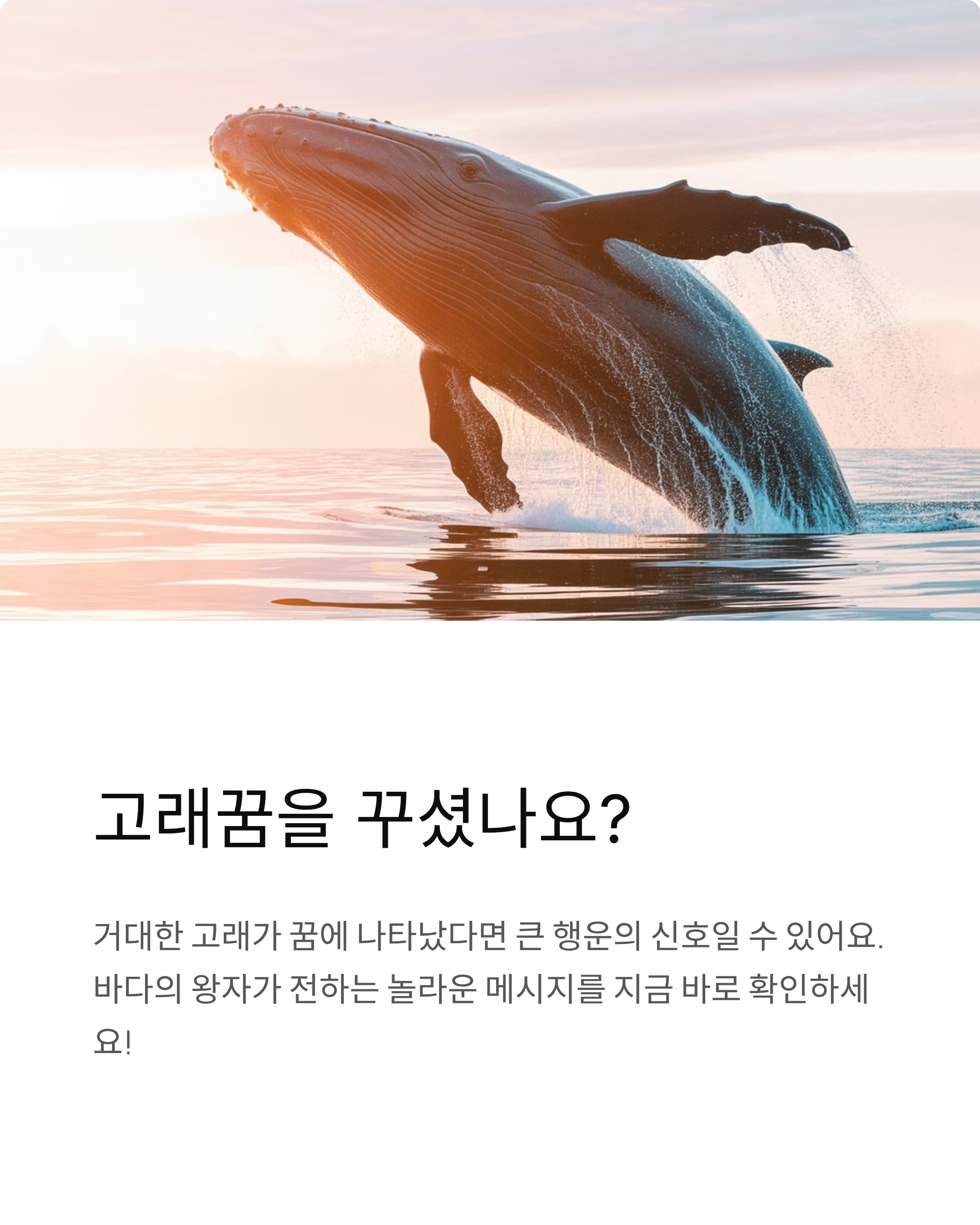 고래꿈 해몽 완벽 가이드 - 로또당첨 길몽의 비밀