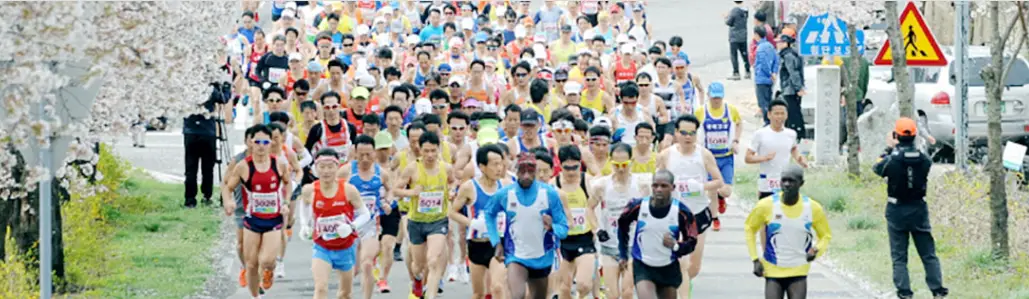 영천댐 벚꽃 마라톤 대회 사진