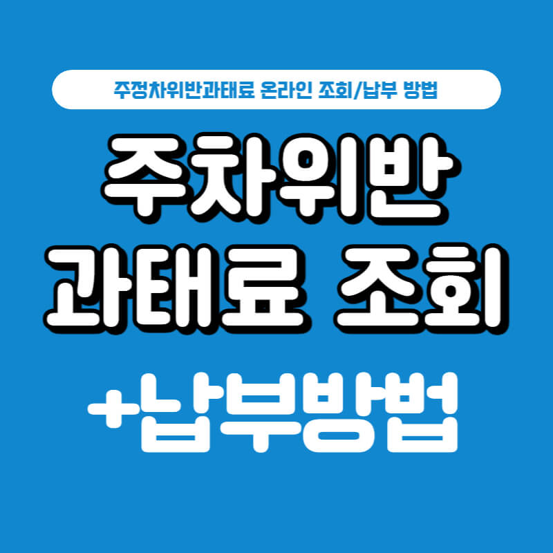 주차위반-과태료-조회