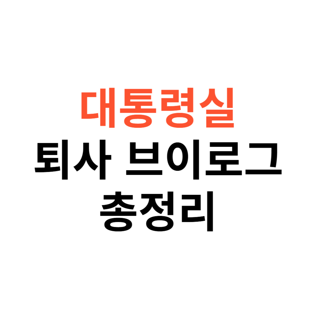 대통령실 퇴사 브이로그