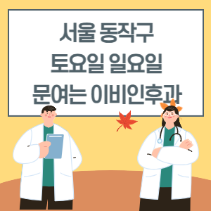 서울 동작구 토요일 일요일 이비인후과 진료 병원 리스트