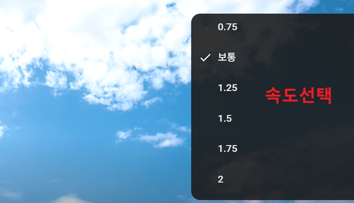 속도 선택 창 보임