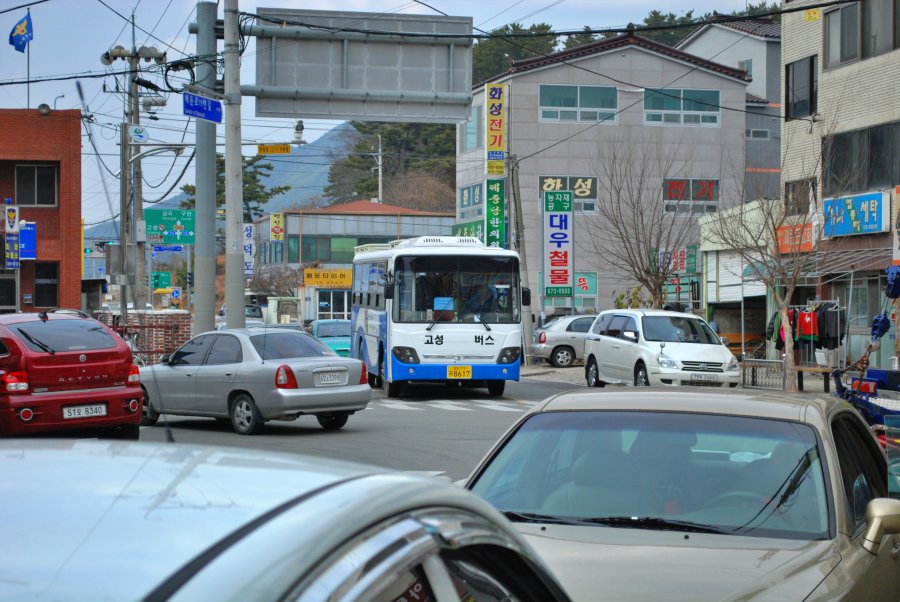 고성군 회화면 배둔리 마을 풍경