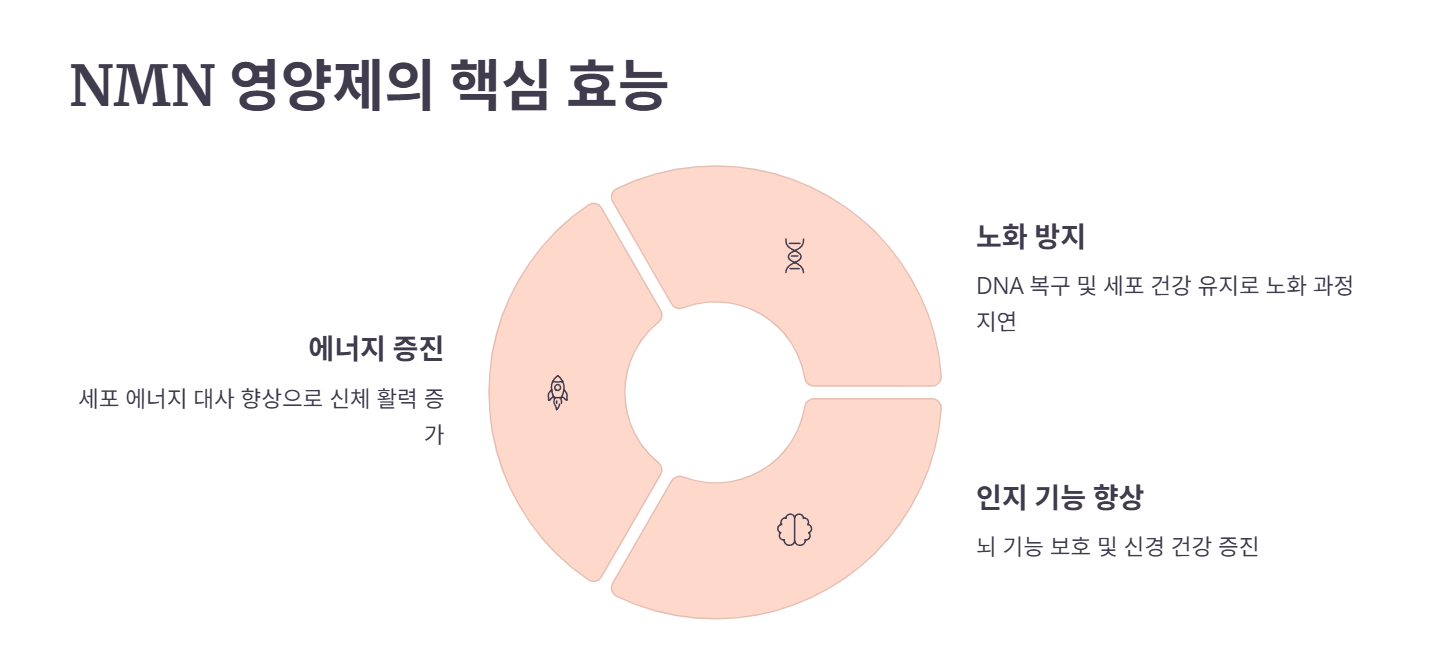NMN 영양제 핵심 효능 3가지