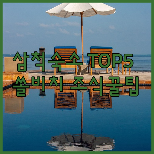 강원도 삼척 여행 숙소 베스트 5 쏠..