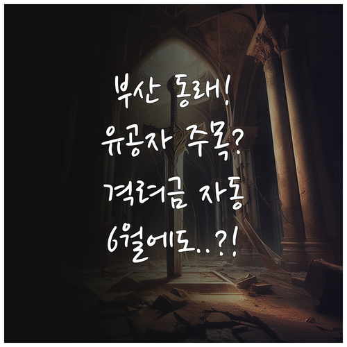 2025년 부산 동래구 국가유공자라면..