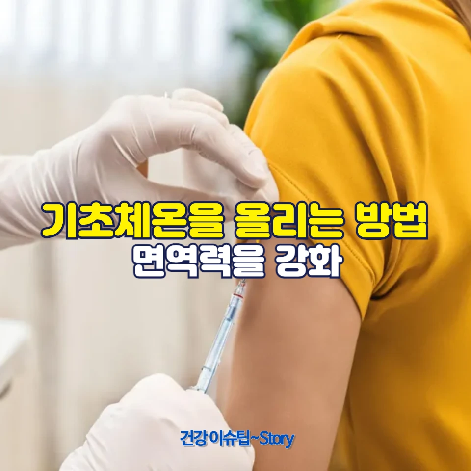 기초체온을 올리는 방법