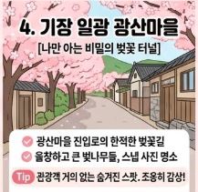 동부산 벚꽃 명소 BEST 4