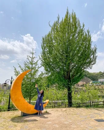 봉화 가볼만한곳 베스트10 현지인 추천 필수코스_6